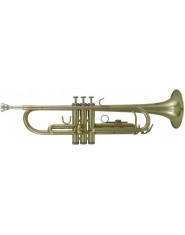 Roy Benson Bb-Trumpet TR-101 Student Series