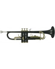 Roy Benson Bb-Trumpet TR-101K Student Series 
