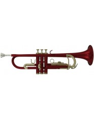 Roy Benson Bb-Trumpet TR-101R Student Series