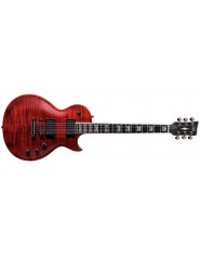VGS E-Guitar Pro Series Eruption Ravenblood