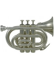 Roy Benson Bb-Pocket trumpet PT-101S Student Series 