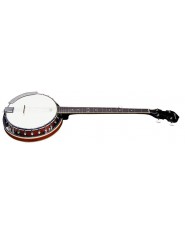 Tennessee Banjo Economy With case