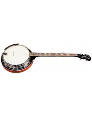 Tennessee Banjo Premium With case