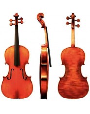 Gewa violin Instrumenti Liuteria Professional line 4/4