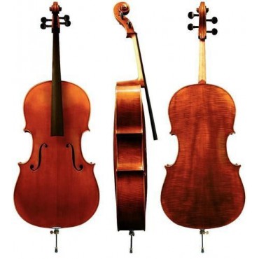 Gewa Cello Instrumenti Liuteria Maestro I